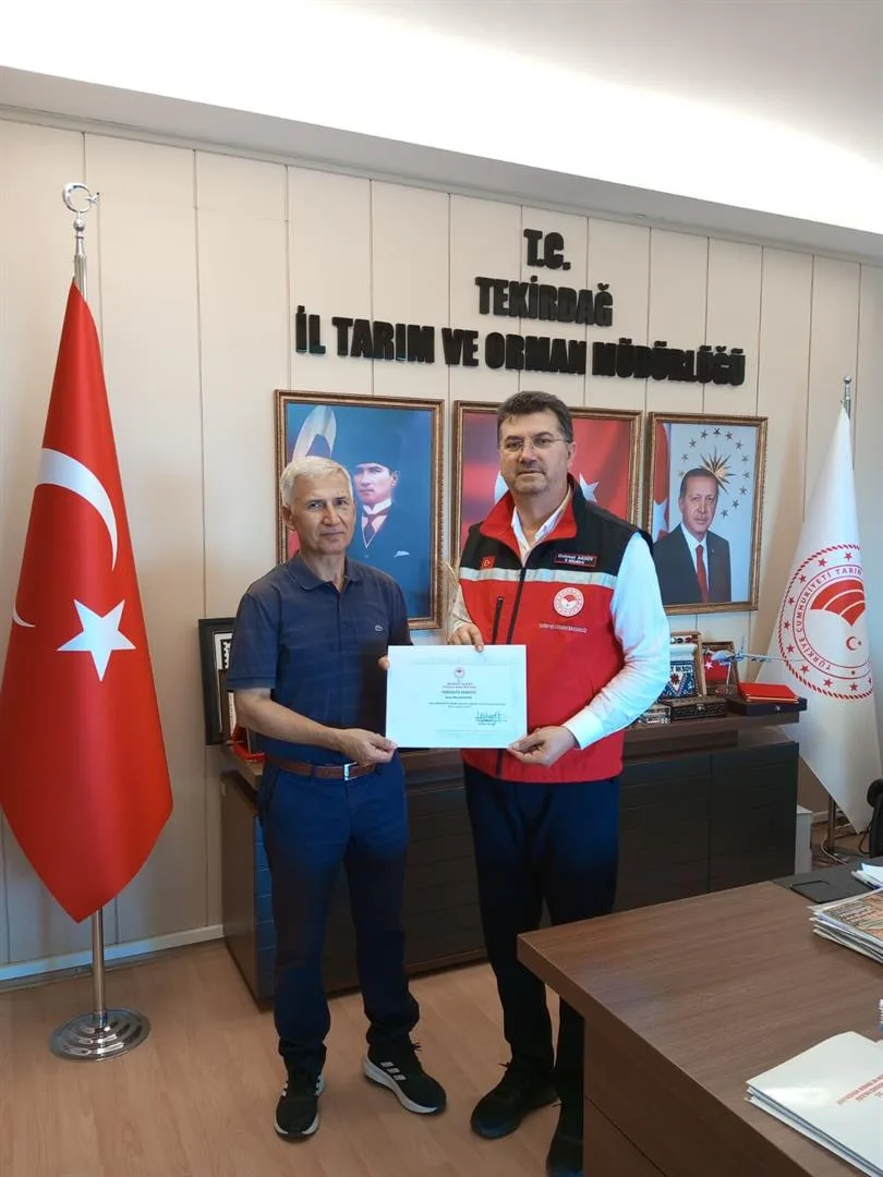 Emeklilik